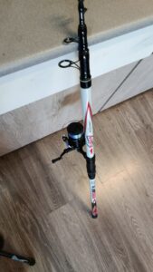 canna +mulinello con filo euro 50